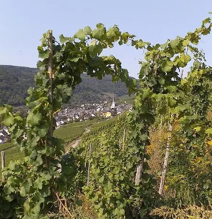 Froeschenpuhl Neu דירה טראבן-טרארבאך