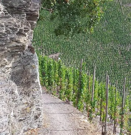 Froeschenpuhl Neu Traben-Trarbach