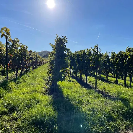 Froeschenpuhl Neu * Verbandsgemeinde Traben-Trarbach