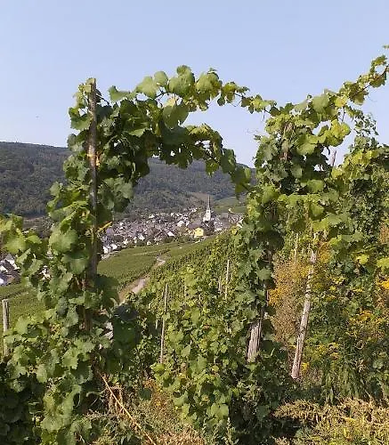 Froeschenpuhl Neu アパート トラーベン・トラールバッハ