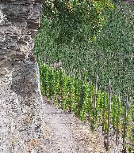 Froeschenpuhl Neu トラーベン・トラールバッハ