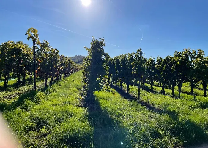 Froeschenpuhl Neu * トラーベン・トラールバッハ